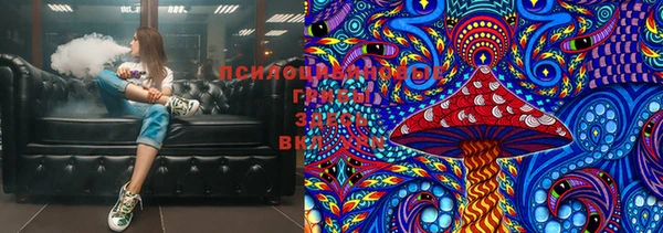 бошки Магас