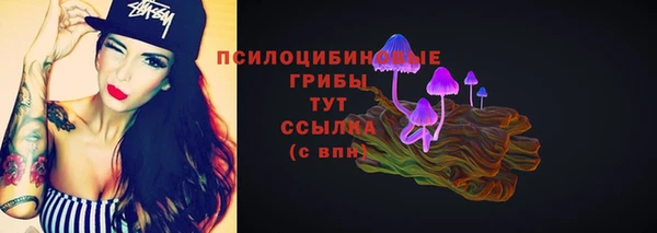 бошки Магас