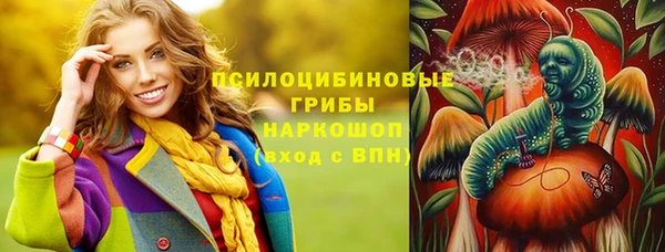 дмт Аша